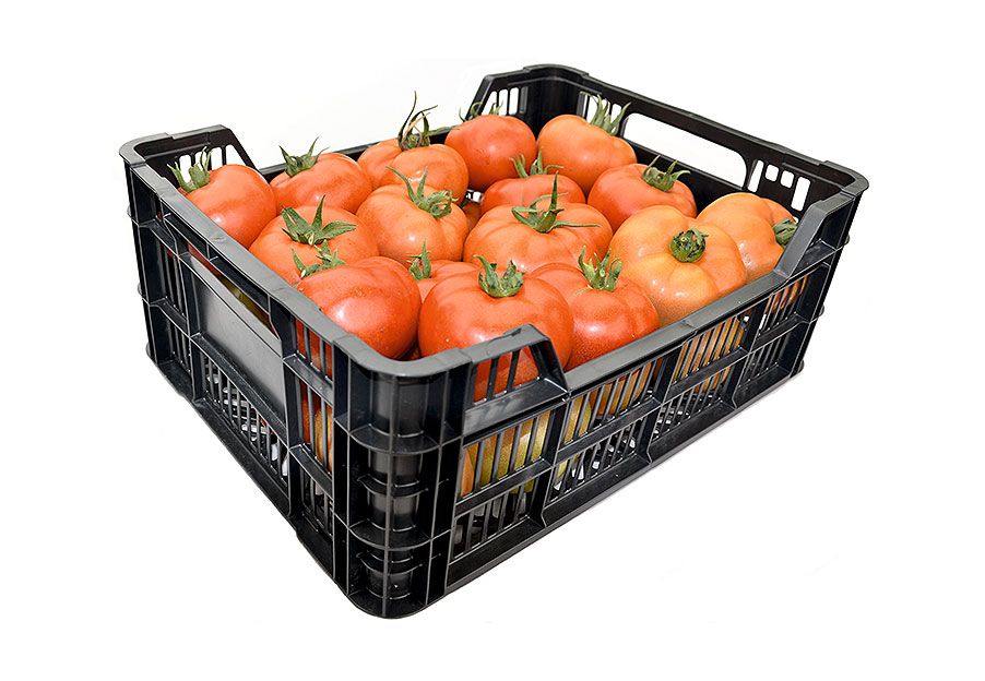 Sobrevivir luego ambiente Caja de plástico agrícola - recolección y transporte de frutas y hortalizas